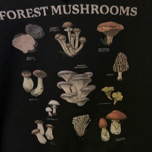 Cute Forest Mushroom Hoodie Womens Black Large